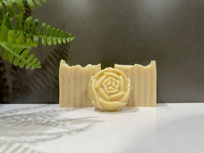 Vanilla + Rose